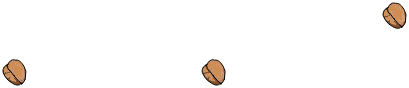 Sac de Bois de Noyer