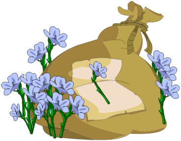 Sac de Fleurs de Lin