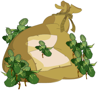 Sac de Menthe Sauvage