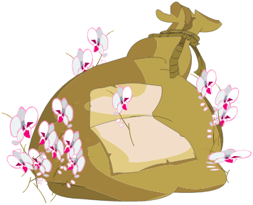 Sac d\'Orchidée Freyesque