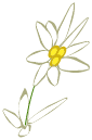 Sac d\'Edelweiss