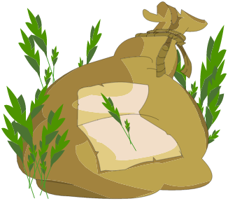 Sac de Seigle