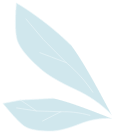 Ailes de Scarafeuille Bleu