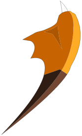Aile de Dragodinde Rousse Sauvage