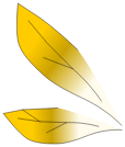Ailes du Scarabosse Doré