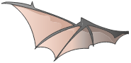 Aile de Dragoeuf Volant