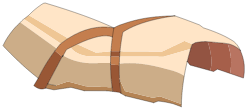 Carapace de Scorbute