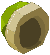 Carapace Verte Vide