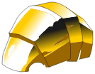 Carapace du Scarabosse Doré