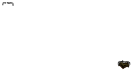 Ceinture du Dragoeuf