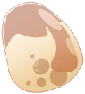 Blopture Coco Royale