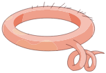 Ceinture Lardière