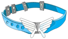 Ceinture Bontarienne