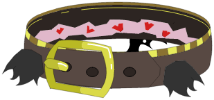 Ceinture Chouqueuse