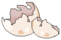Coquille
