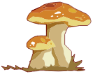 Champignon
