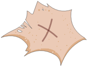 Cloaque du Poolay