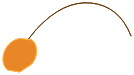 Antenne du Scarafeuille Rouge