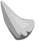 Epine du Champ Champ