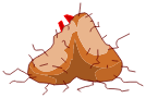 Testicules de Meulou