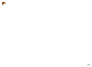 Arakne Majeure Morte
