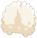 Coton Ancestral