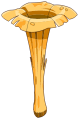 Trompe de la Tromperelle