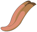 Langue du Champodonte