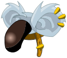 Coiffe du Koalak