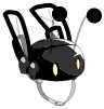 Scaracoiffe Noire