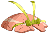 Coiffe de la Dragueuse