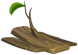 Abracaska Ancestral