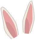 Oreilles de Lapineupe