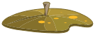 Caracoiffe