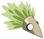 Kwakoiffe de Terre