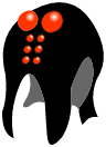 L\'Araknacoiffe