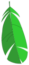 Cape du Piou Vert