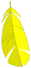 Cape du Piou Jaune