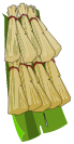 Cape Terrdala