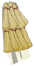 Cape Aerdala