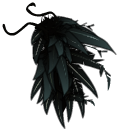 Cape du Corbeau Noir