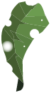 Vegacape