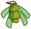 Scaracape Verte