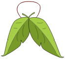 La Feuille d\'Hiver