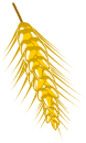 Epis de Farle
