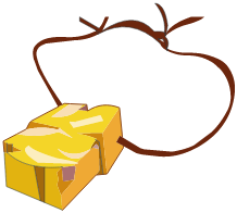 Médaille Kido