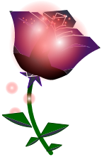 Fleur de rose Obscure