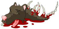 Carcasse de rat d\'égouts