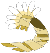 Relique du Tynril