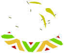 Carapace verte